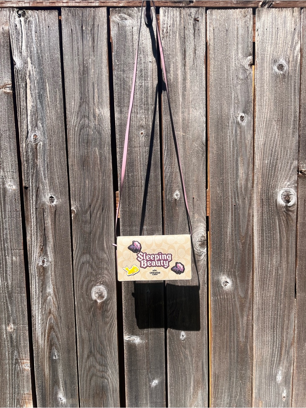 Disney X Coach Hayden Foldover Crossbody Clutch in with Sleeping Beauty Design